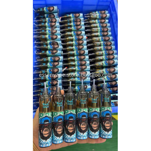 Rechargeable Disposable Vape Randm Tornado 7000Puffs Sweden